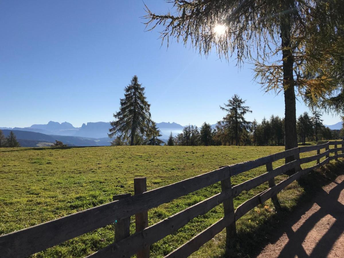 Beckenbinder Apartement Rosengarten San Genesio Atesino Buitenkant foto